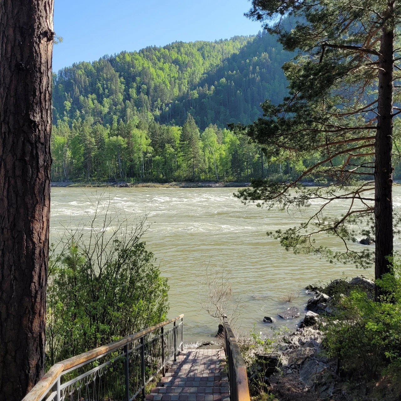 Алтаир - фото 4