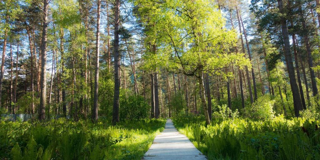 Алтаир - фото 9
