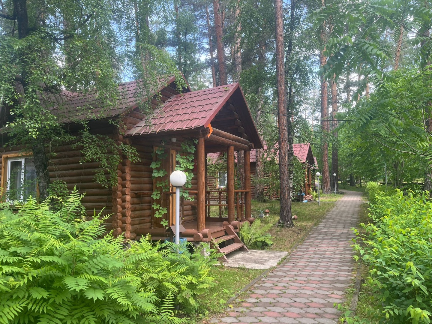 Алтаир - фото 14