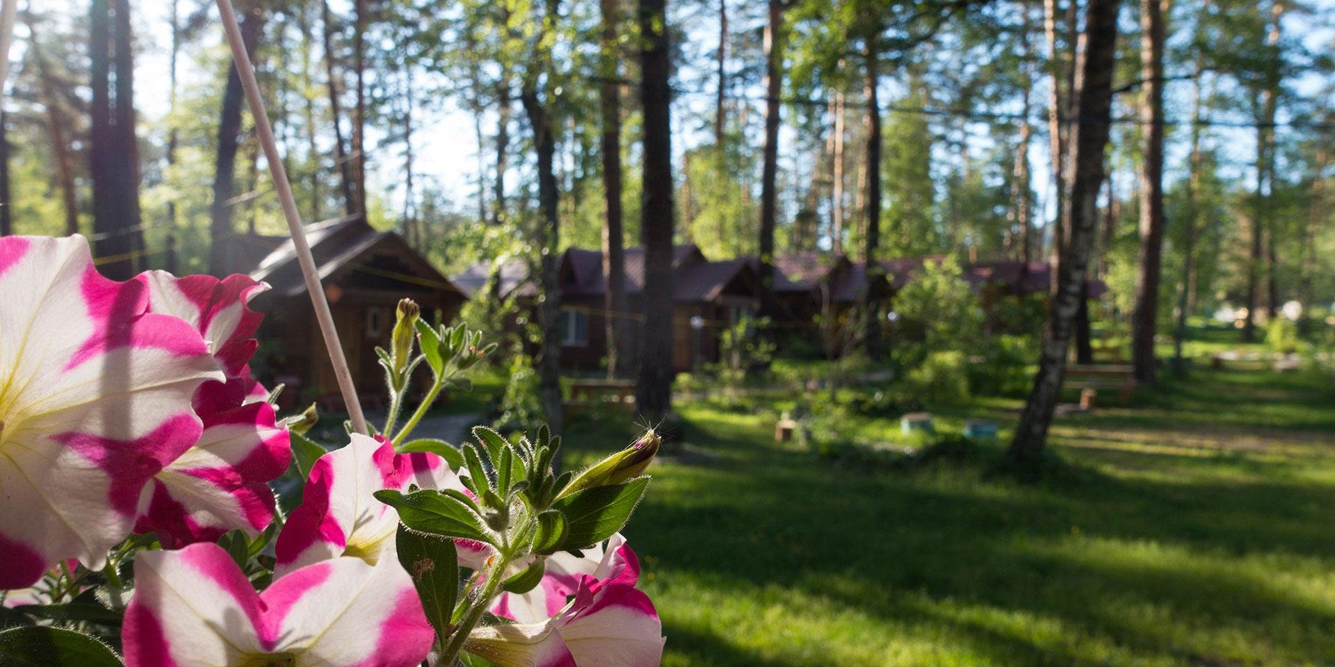 Алтаир - фото 17