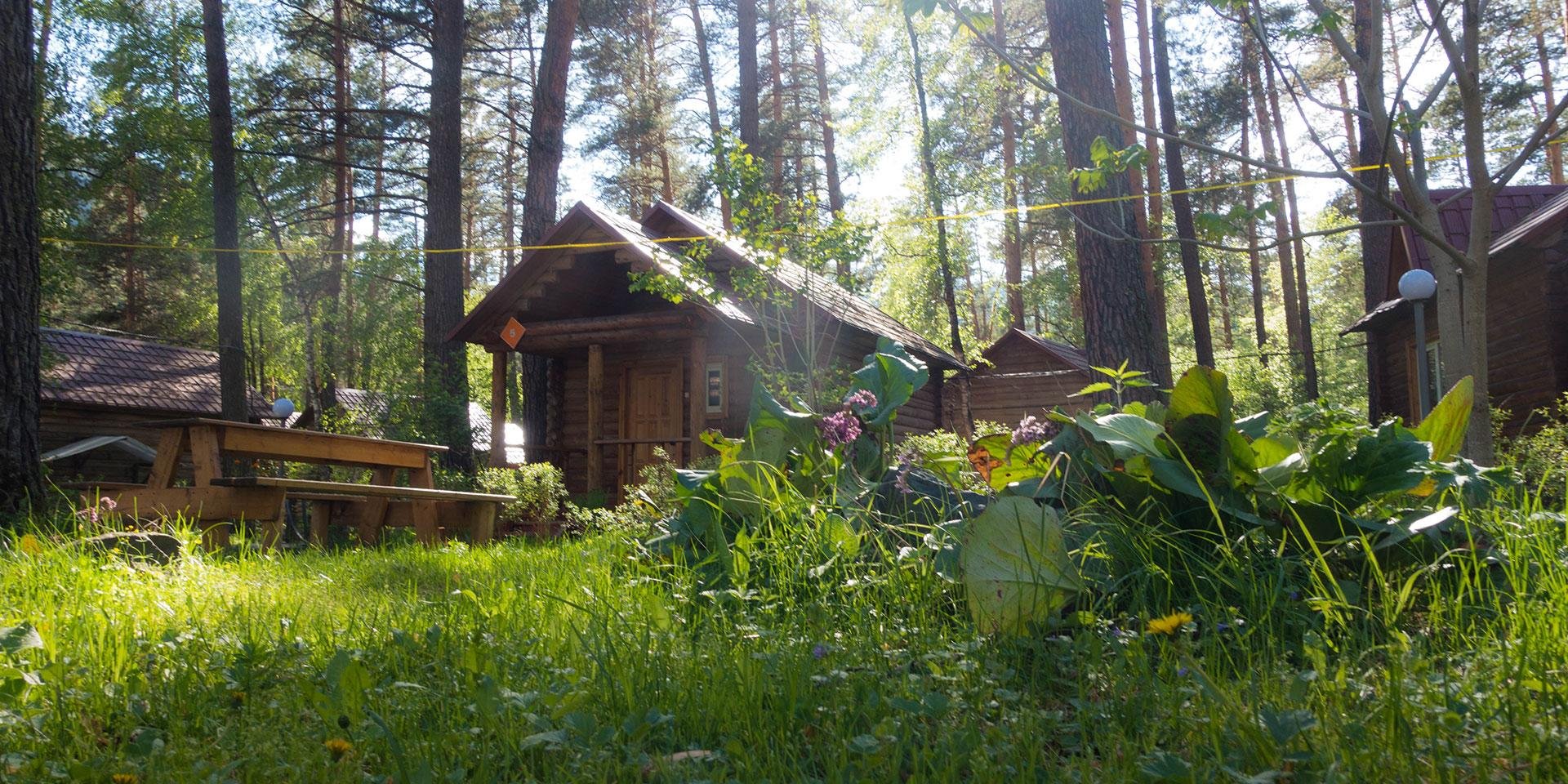 Алтаир - фото 19