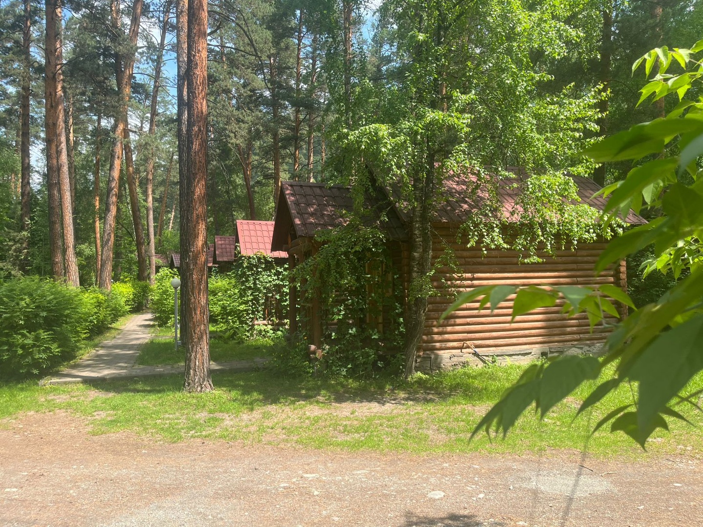 Алтаир - фото 26