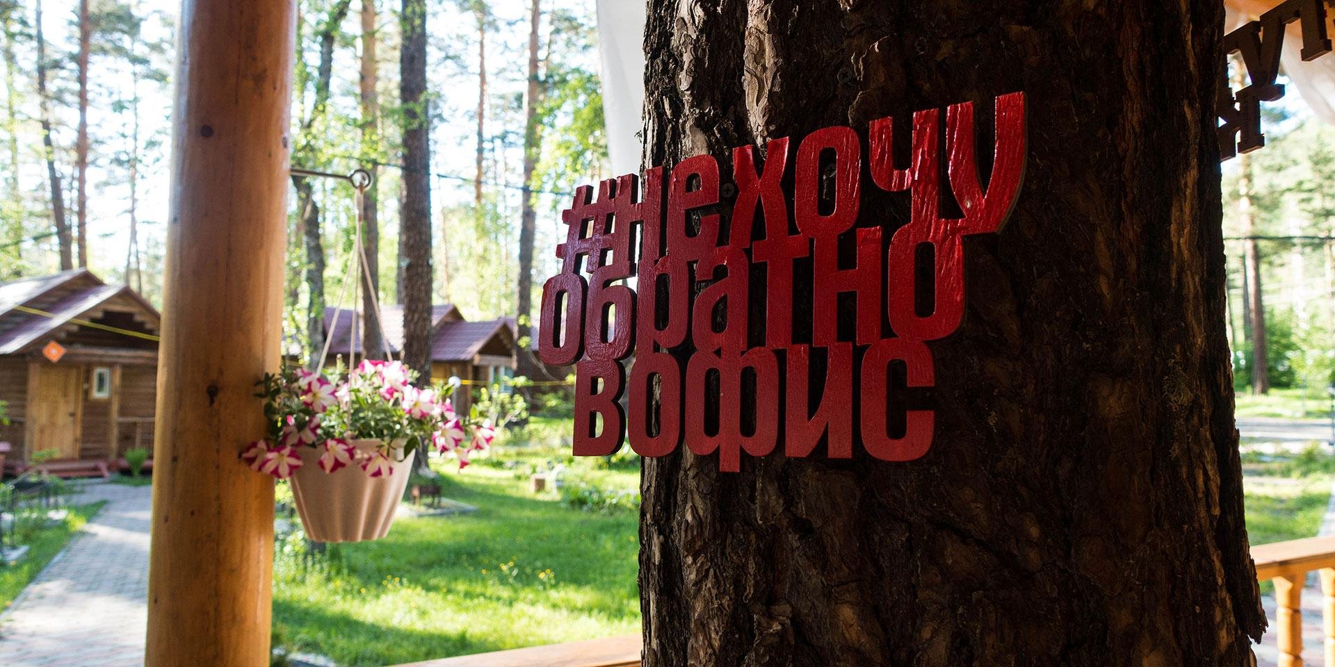 Алтаир - фото 29