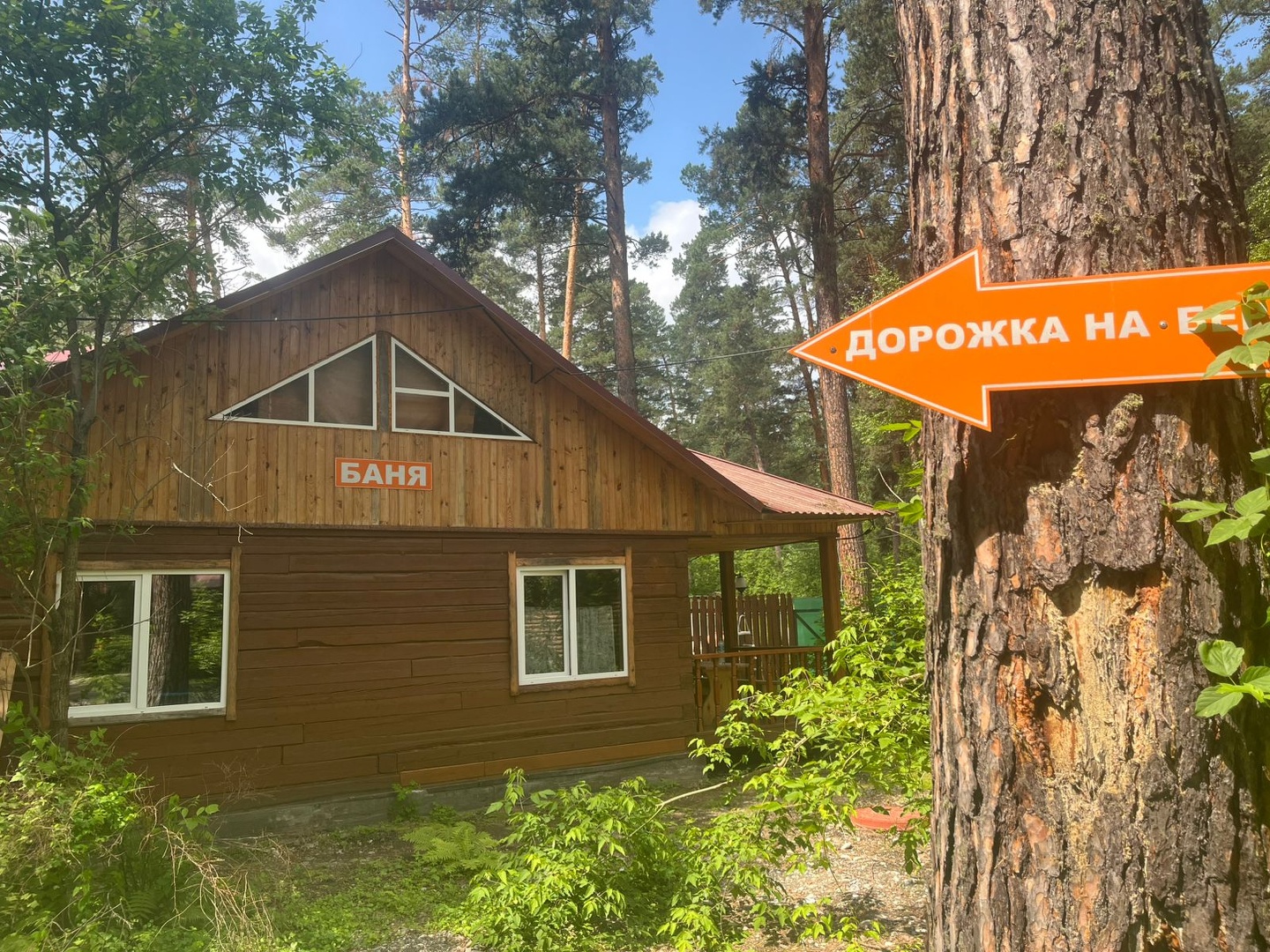 Алтаир - фото 34