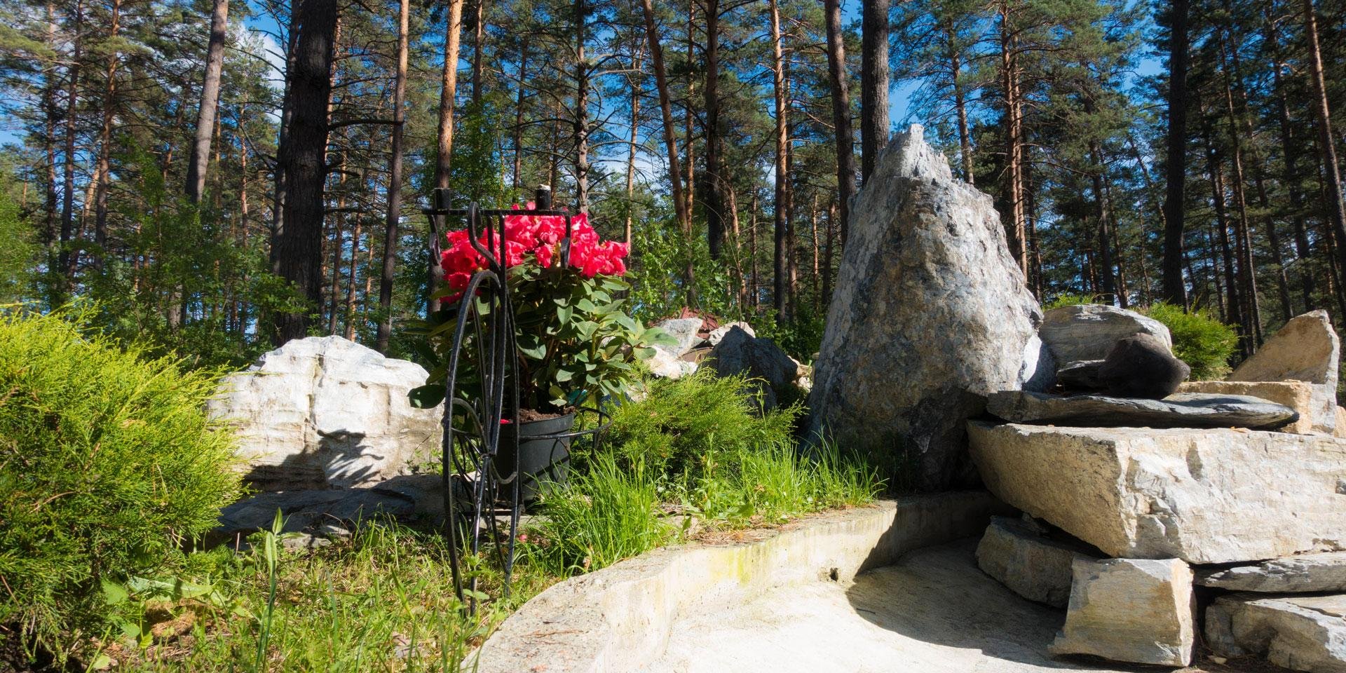 Алтаир - фото 40