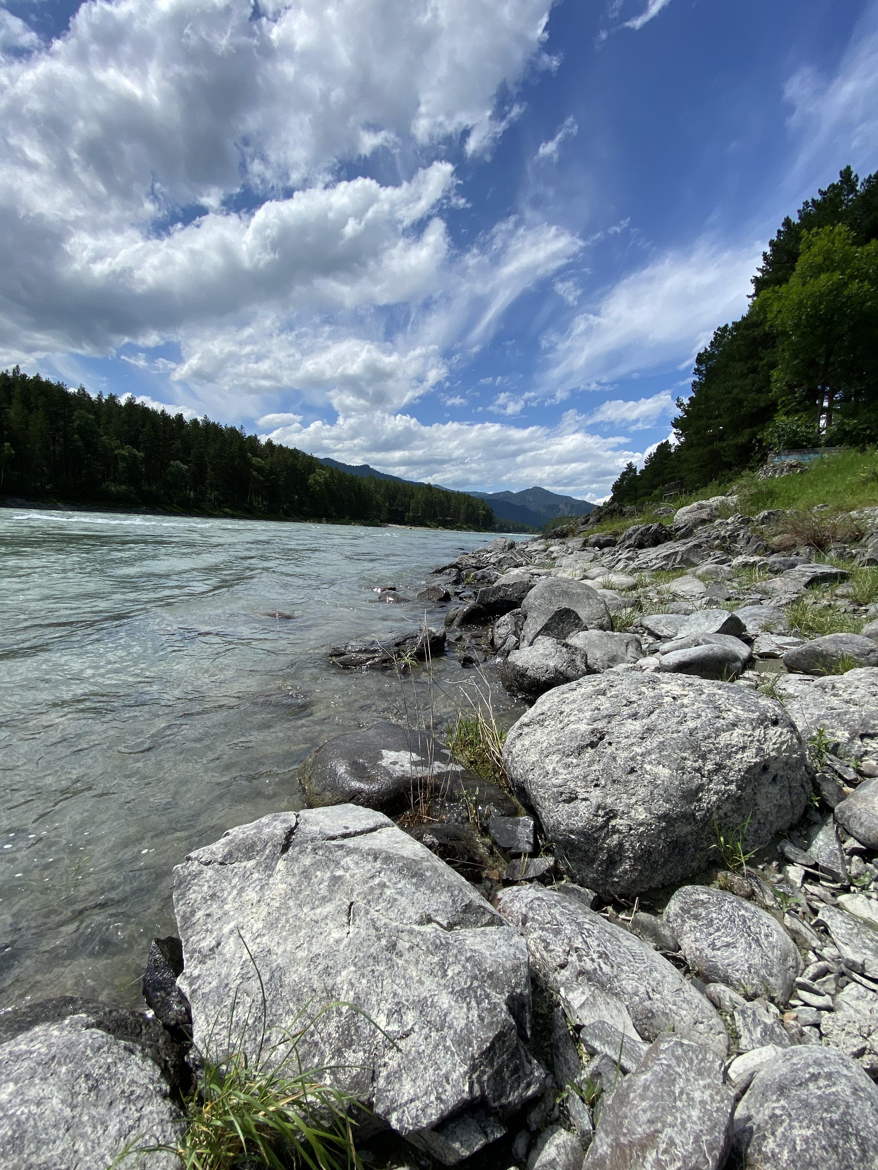 Чемал - фото 21