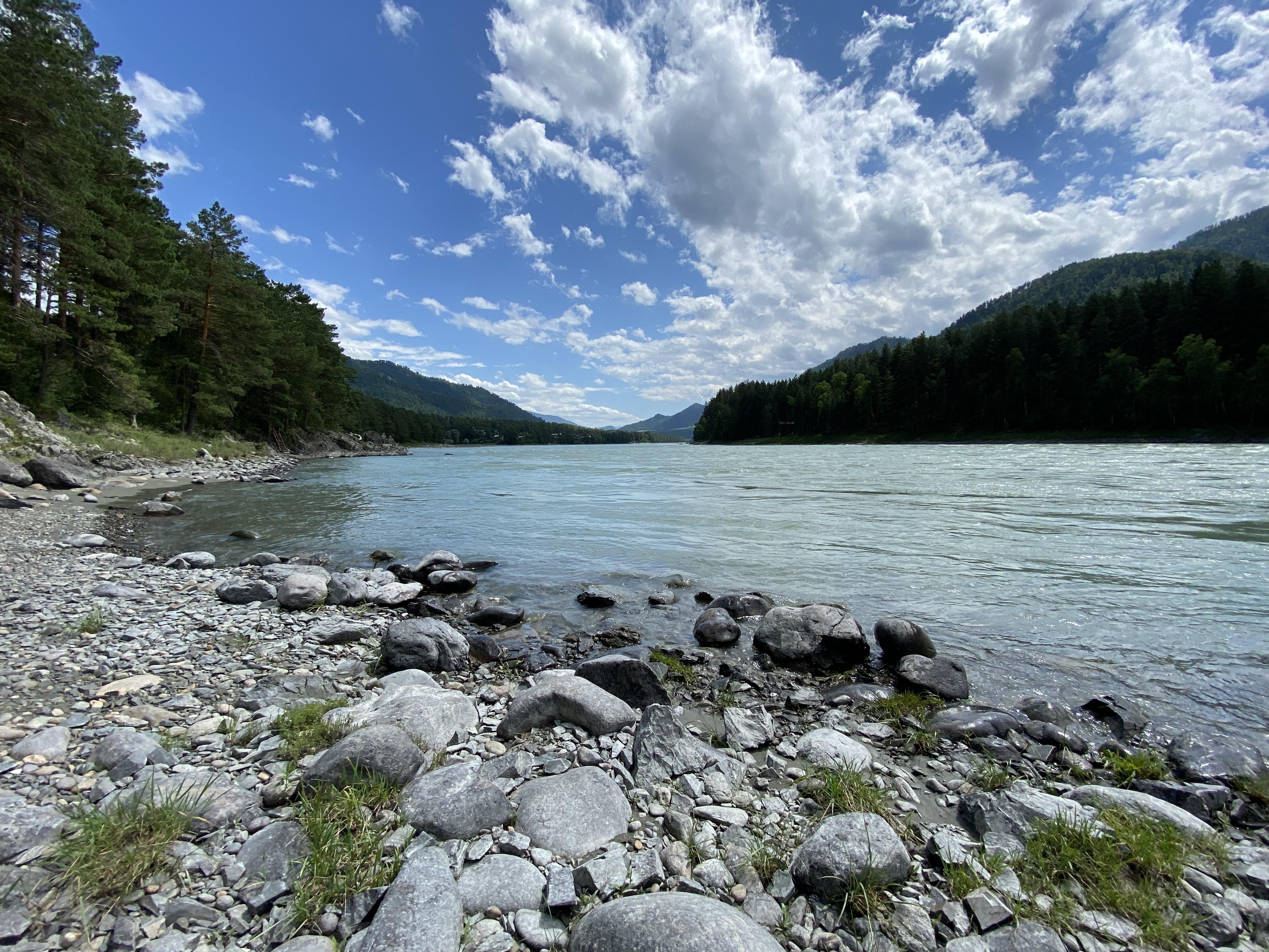 Чемал - фото 24