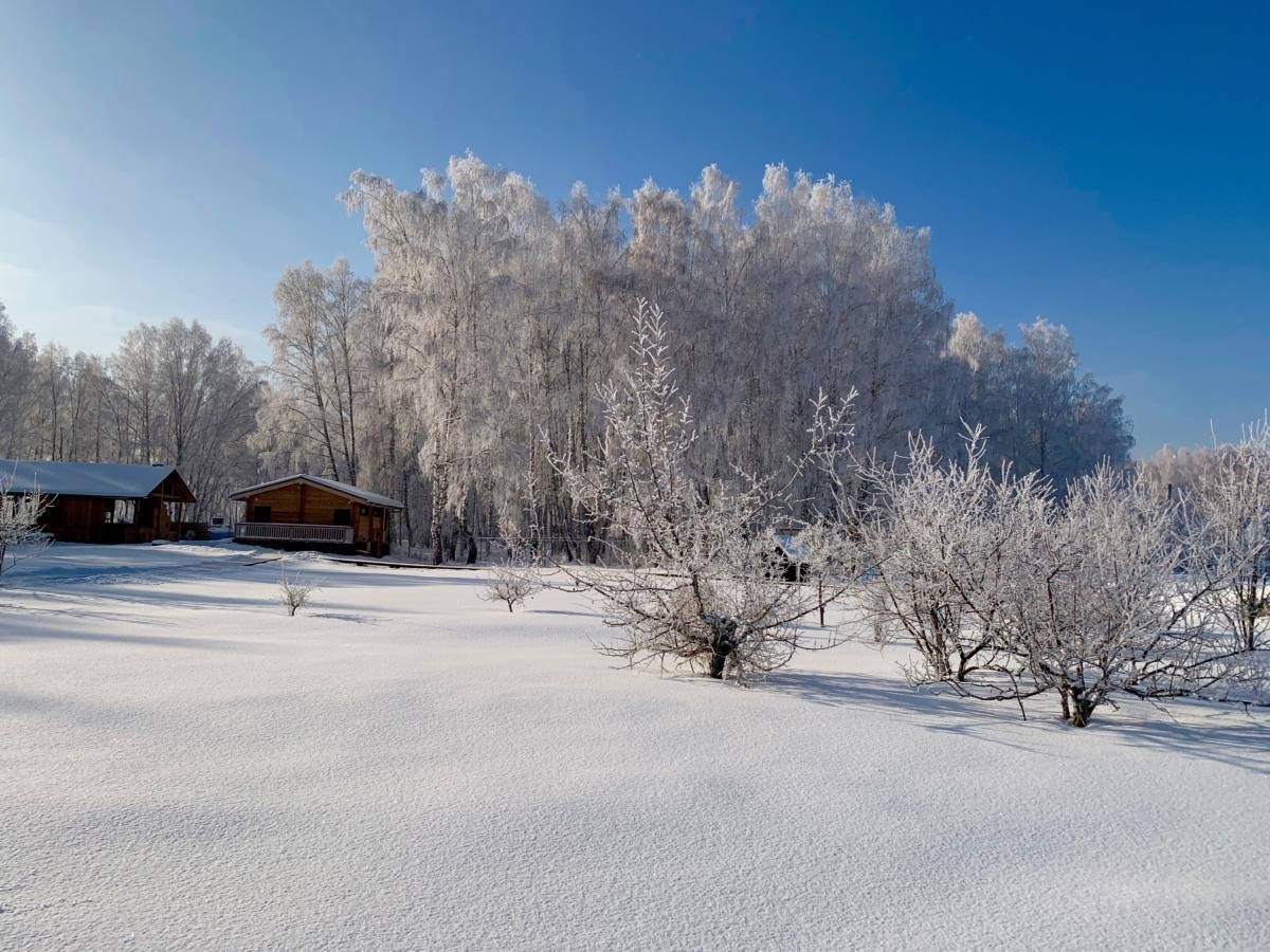 Альтаир - фото 42