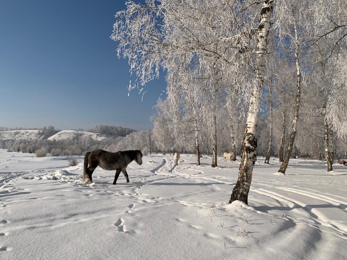 Альтаир - фото 51
