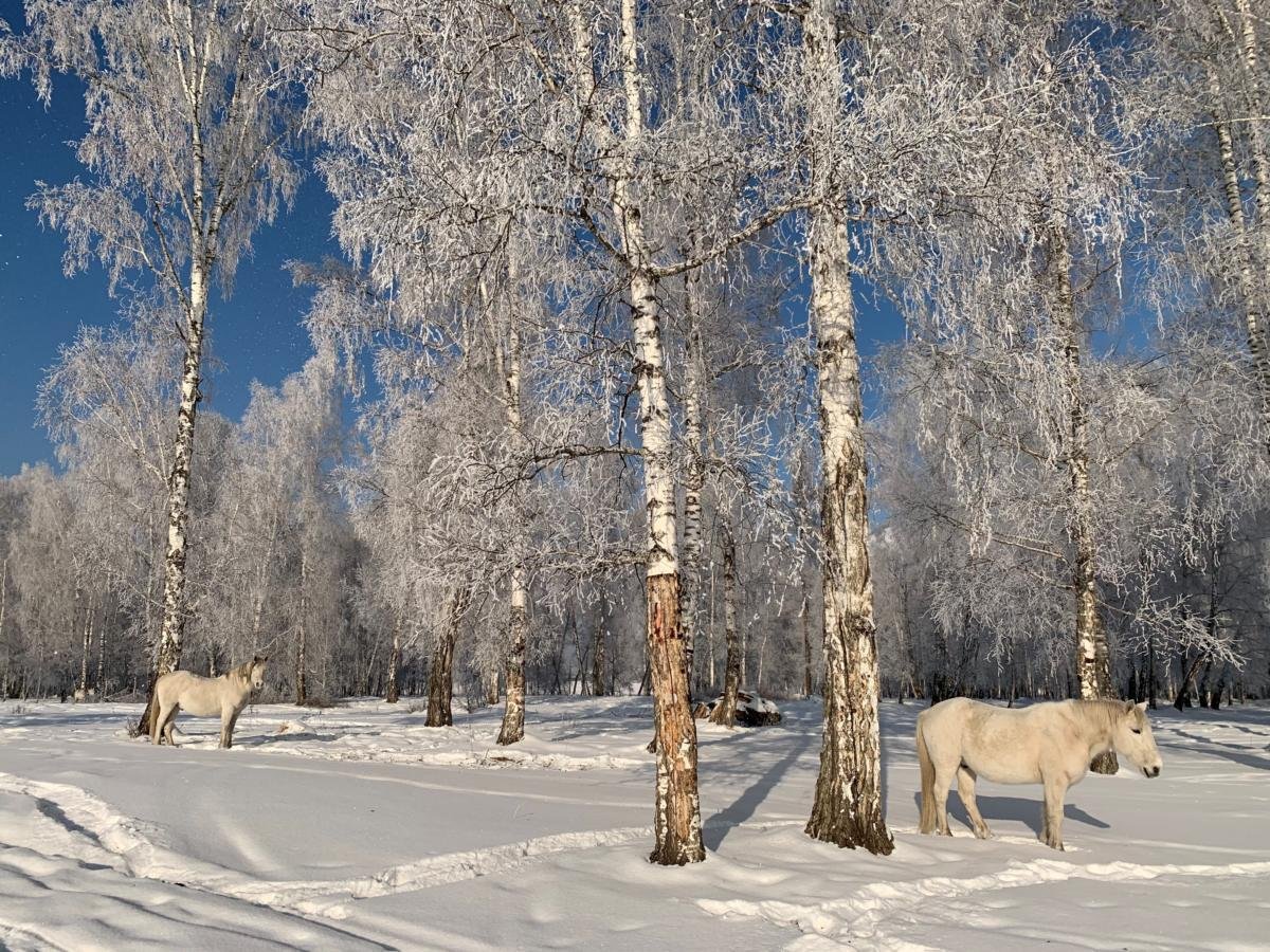 Альтаир - фото 52