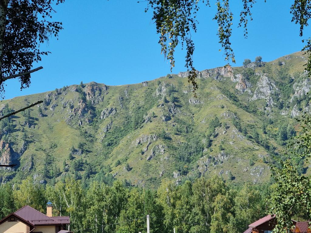 Алтай Лэнд - фото 7