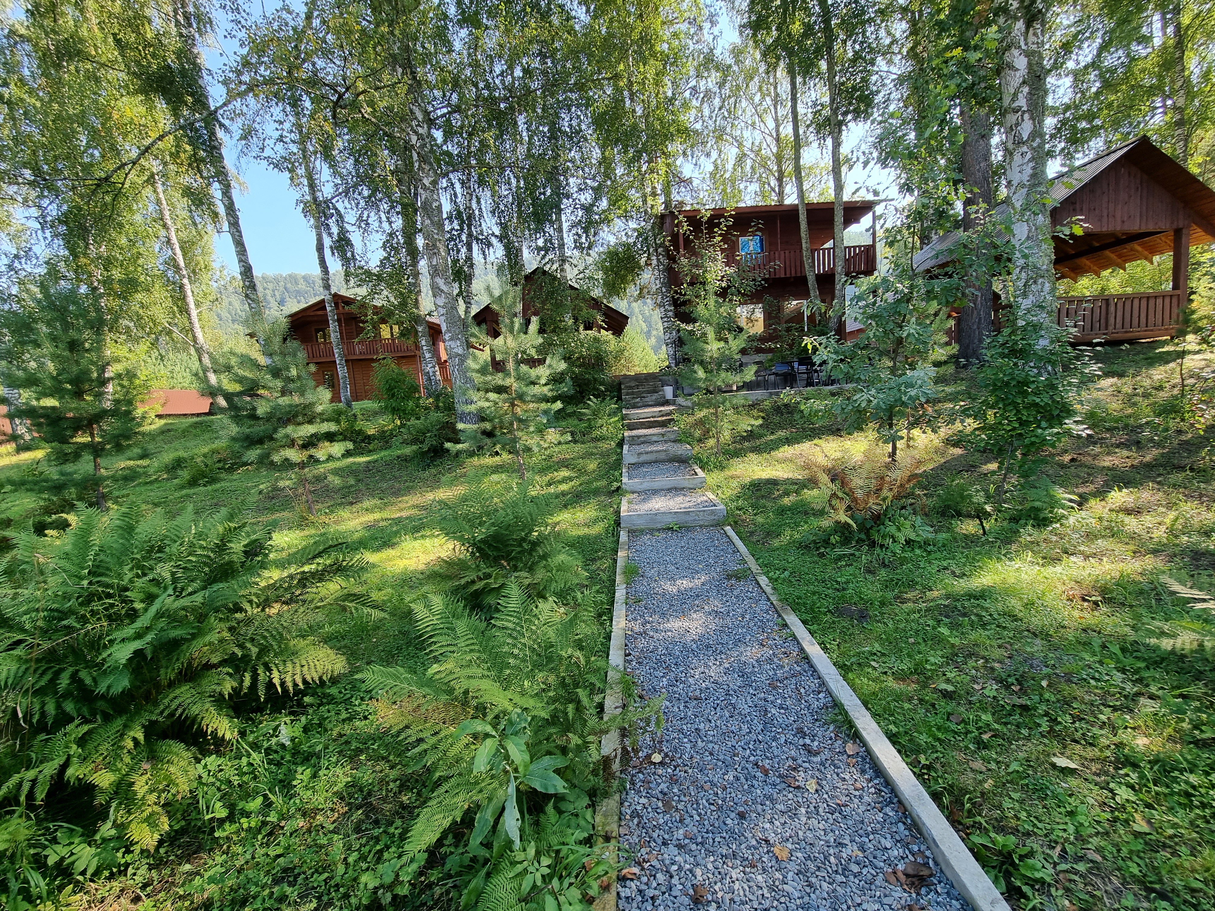 Алтай Лэнд - фото 8