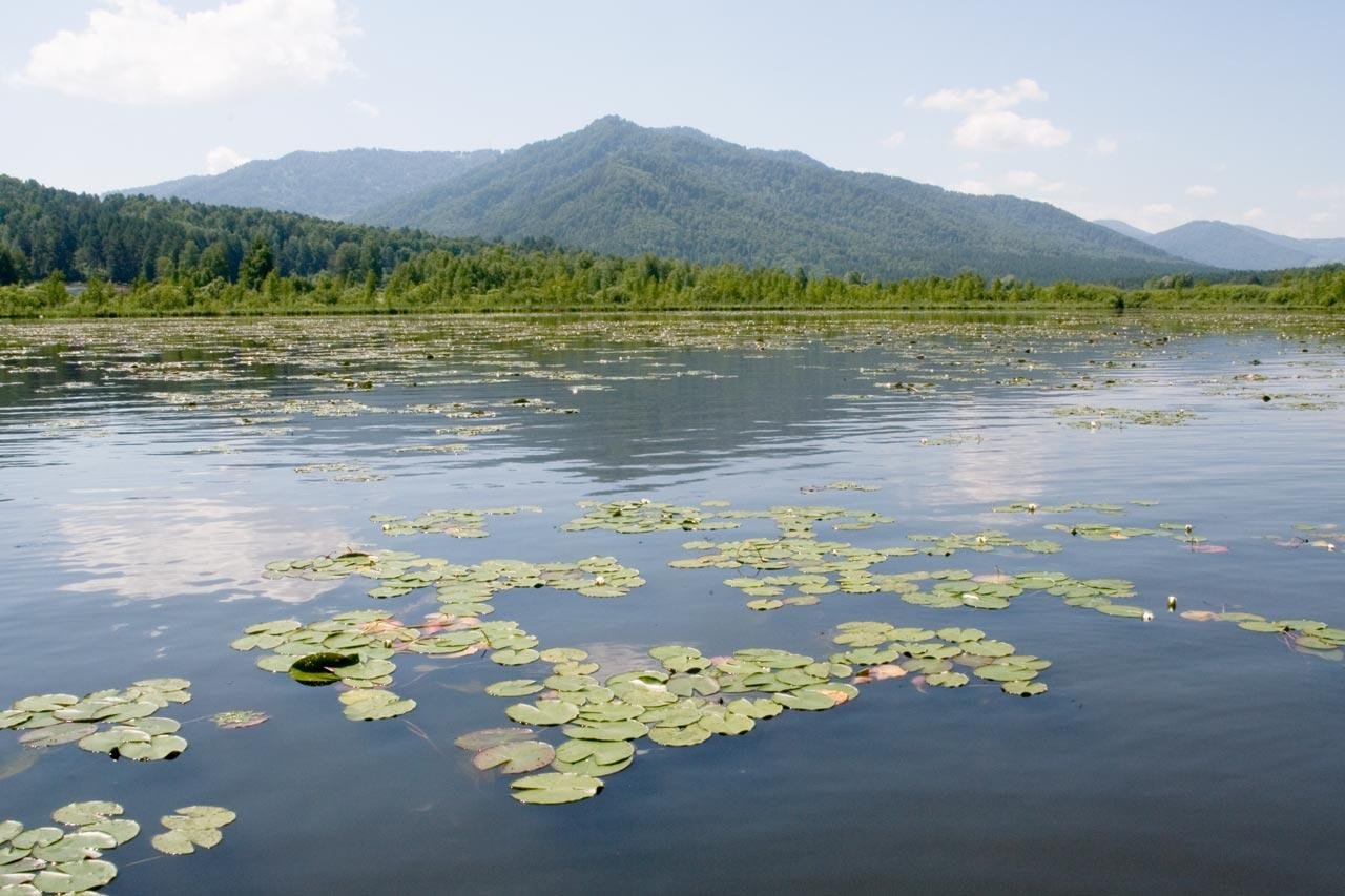 Шамбала - фото 6