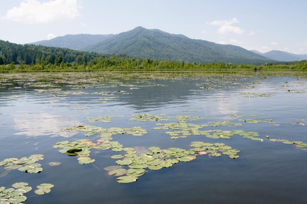 Шамбала - фото 6