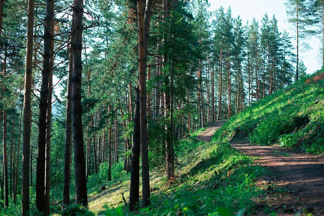 Шамбала - фото 16