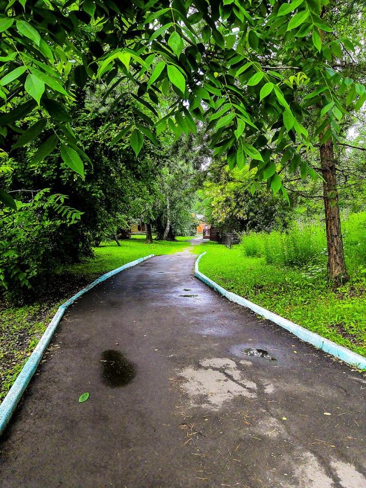 Шамбала - фото 24