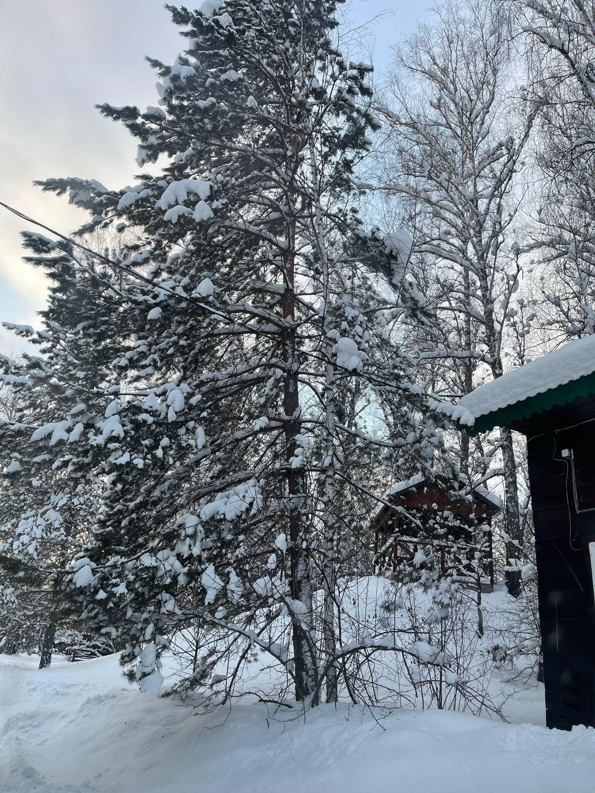 Шамбала - фото 71