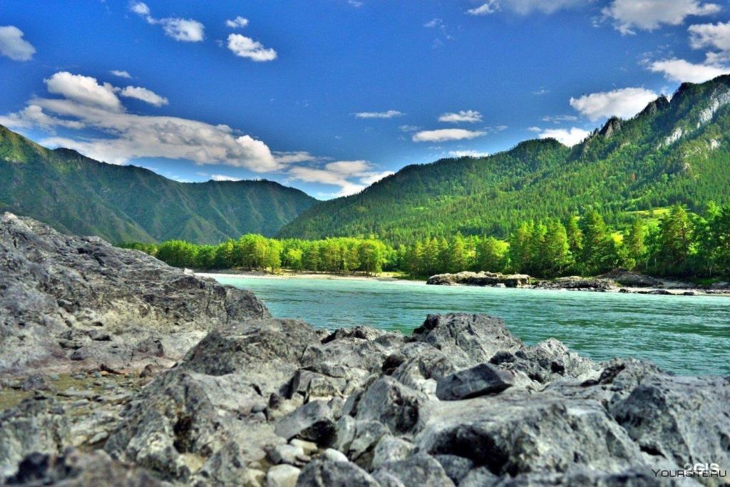 Altay River - фото 5