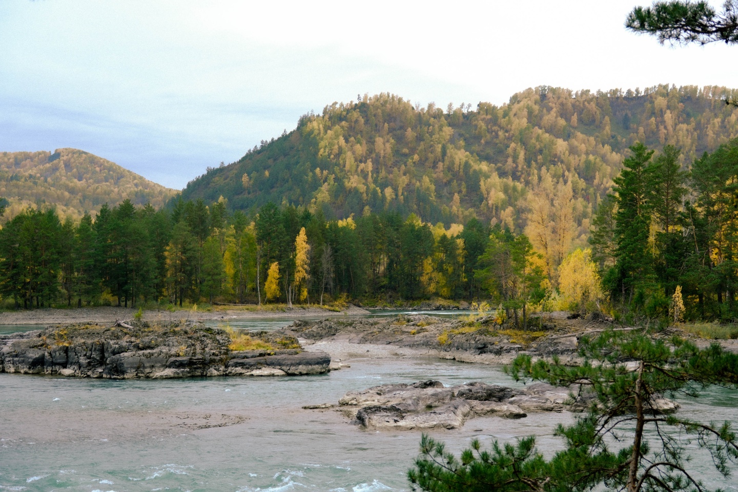 Любава - фото 16