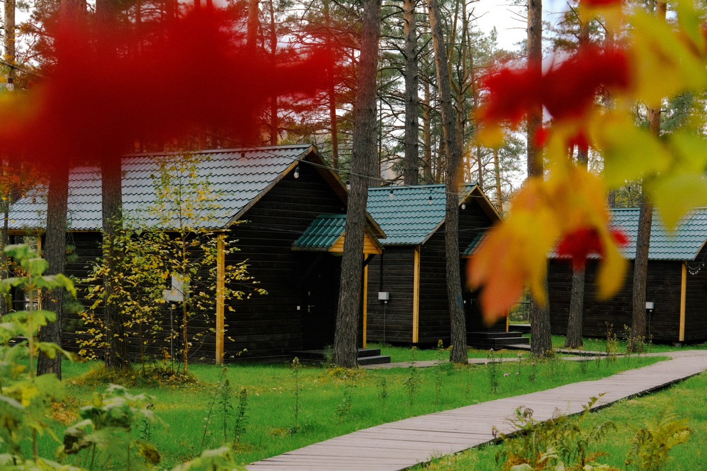 Любава - фото 55