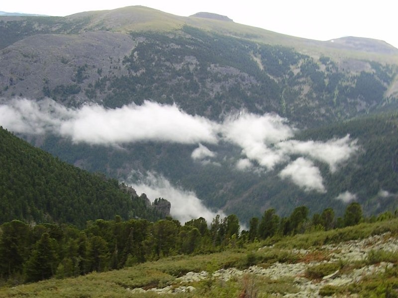 Усадьба "Русская Кузя" - фото 4