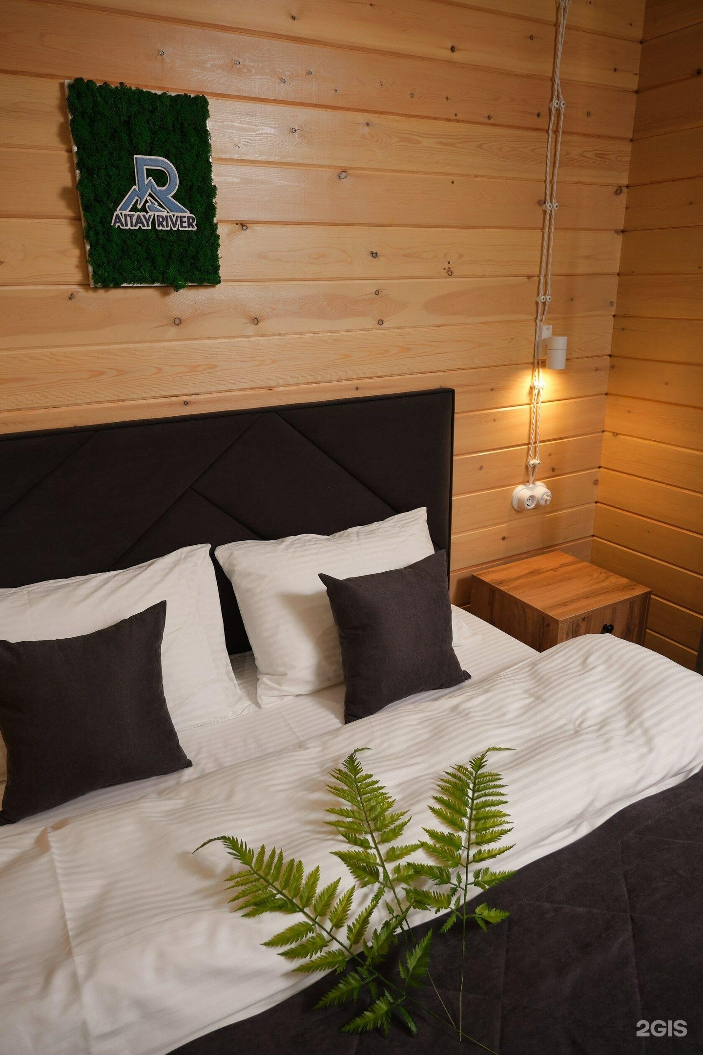 Altay River - фото 55