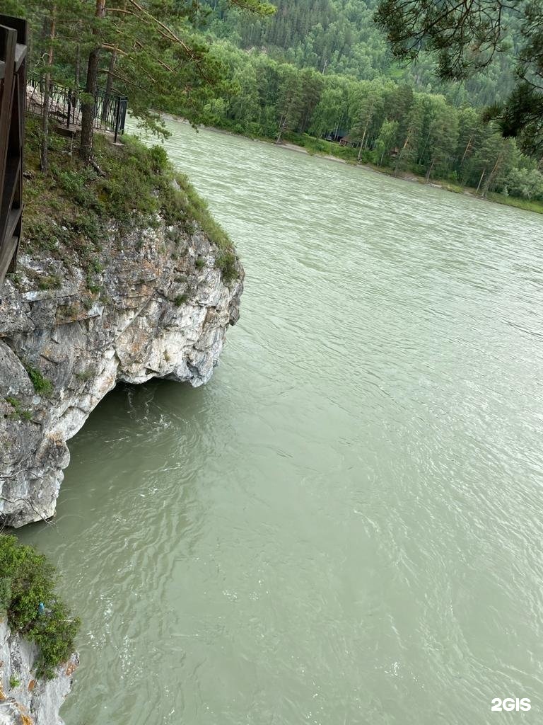 Altay River - фото 56