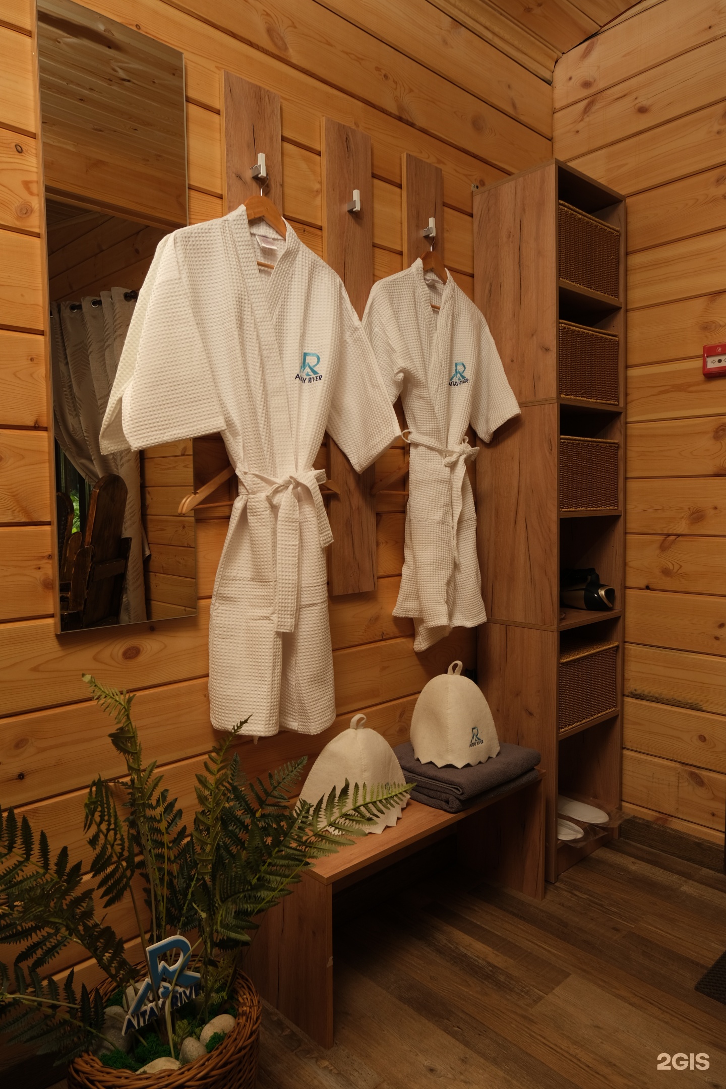 Altay River - фото 87