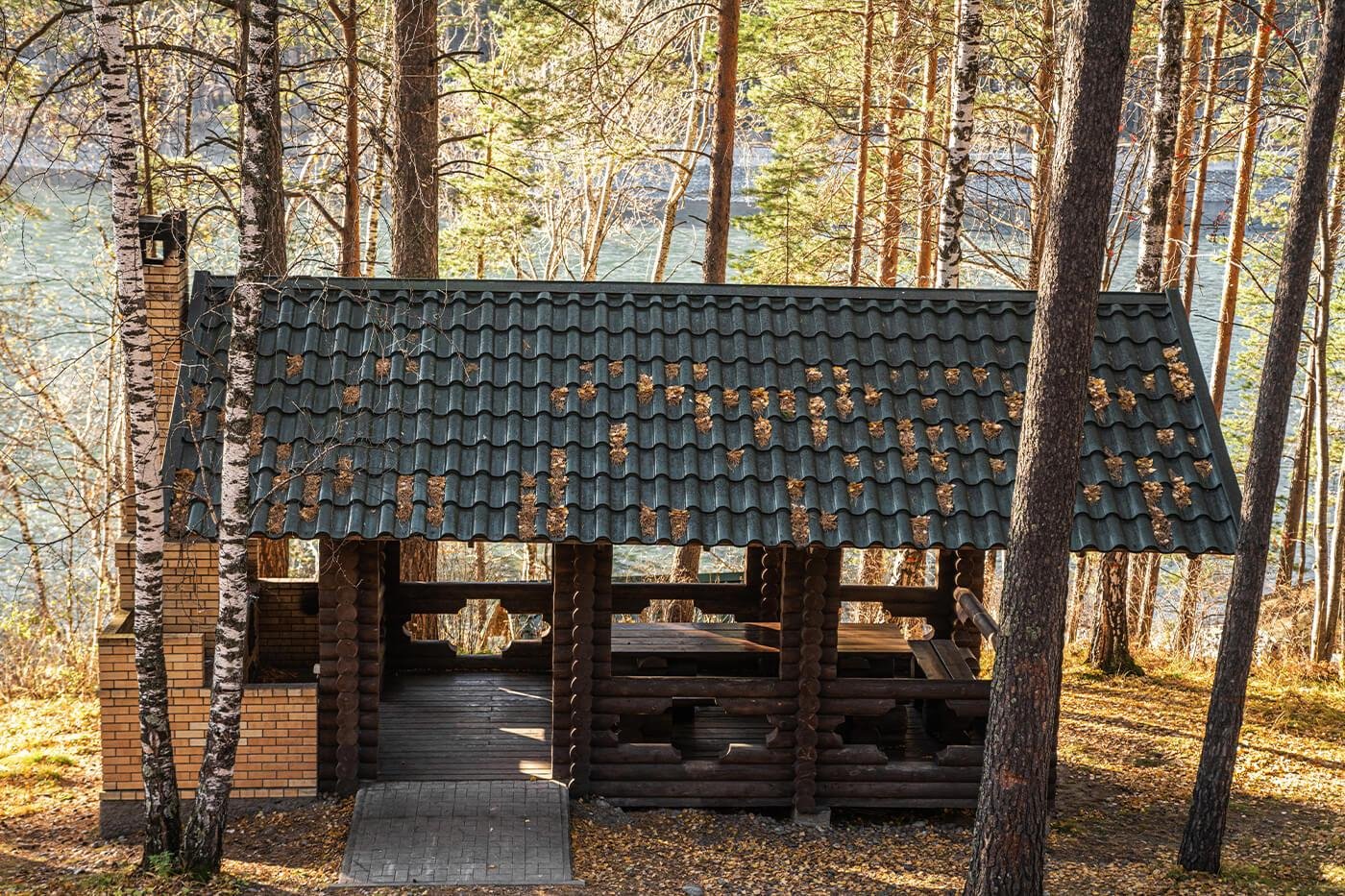 Гелион - фото 68