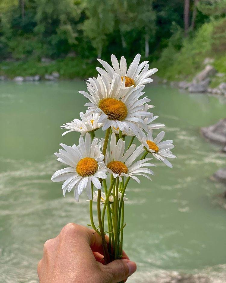 Гелион - фото 82