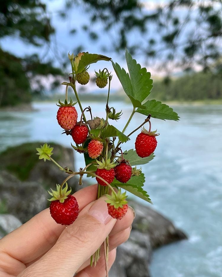 Гелион - фото 101