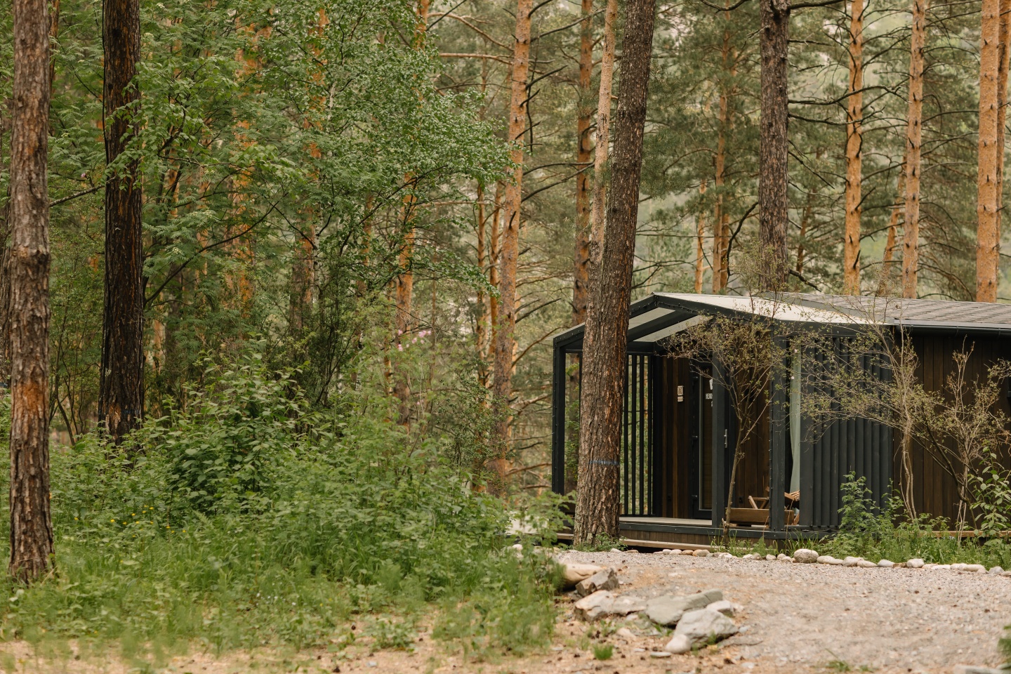 МираМирам - фото 34