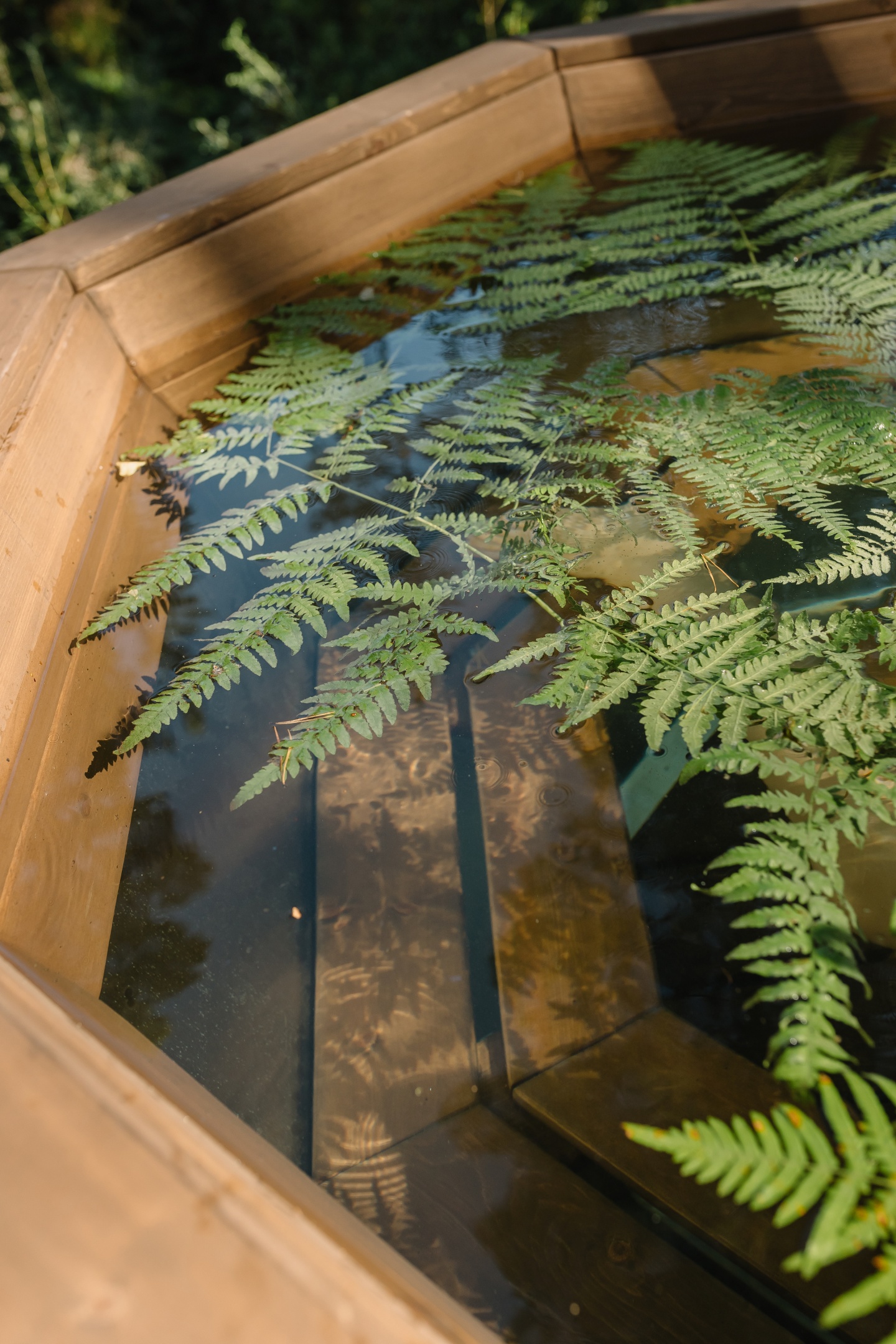 МираМирам - фото 35