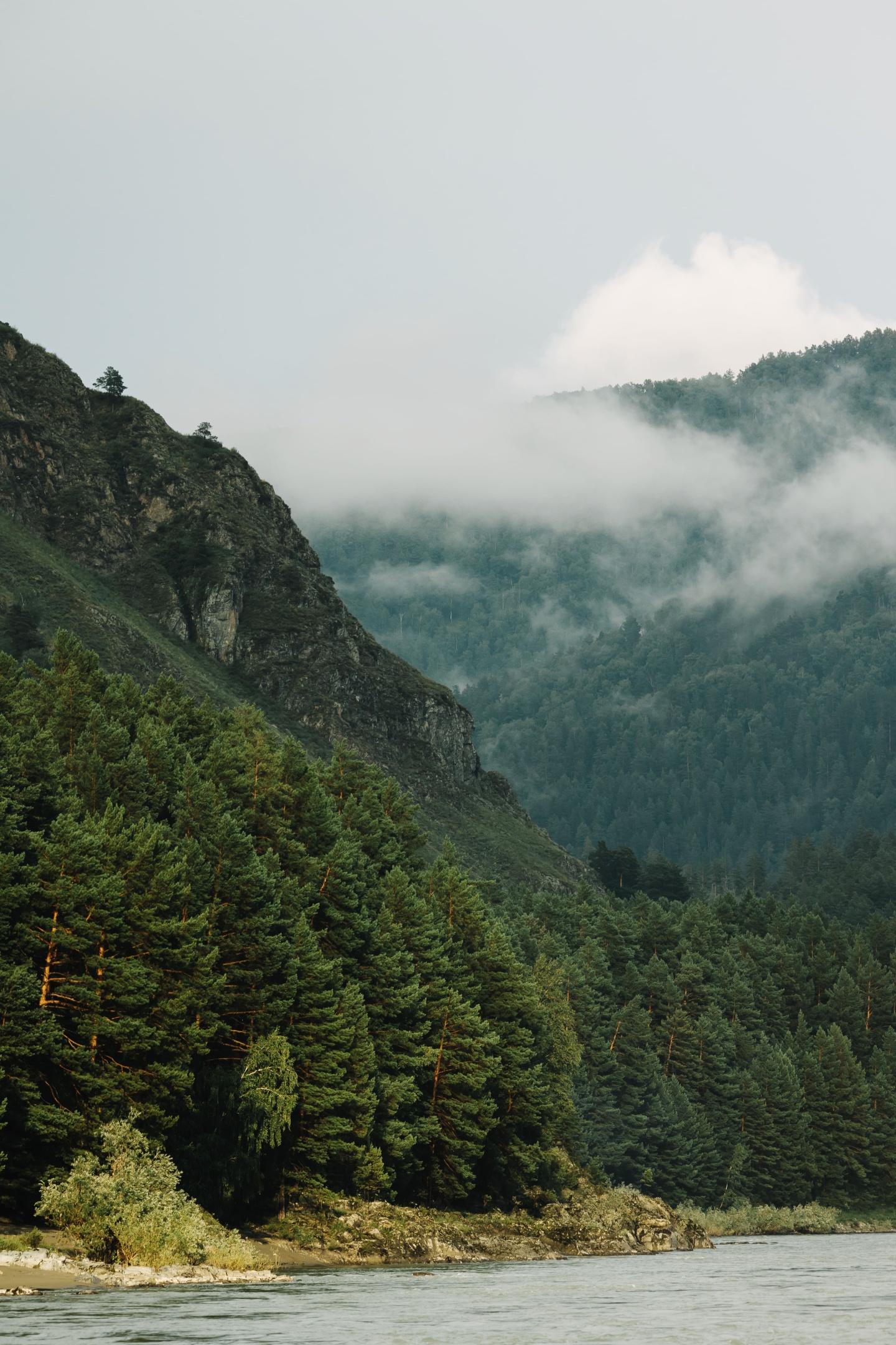 МираМирам - фото 50