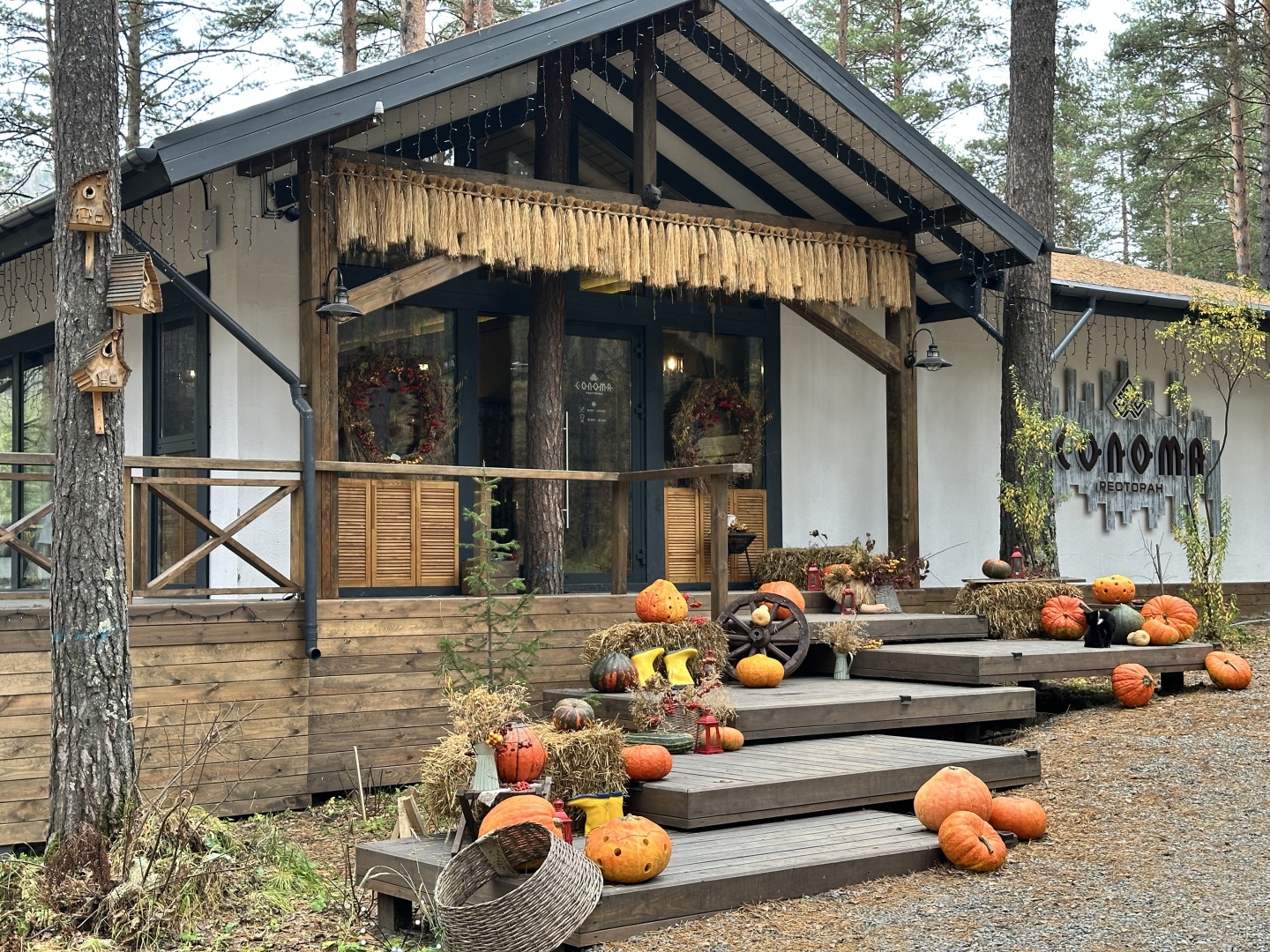 МираМирам - фото 62