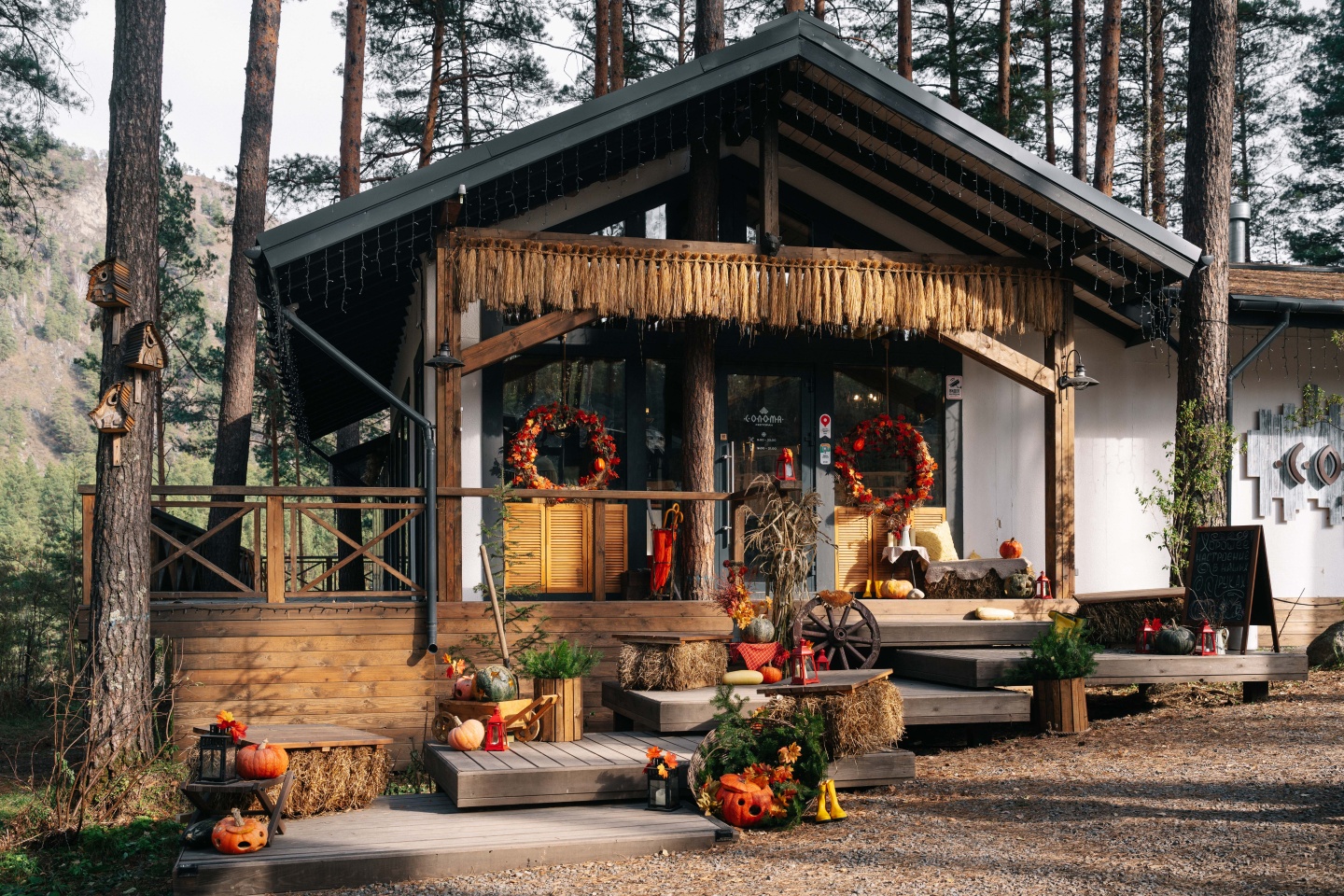 МираМирам - фото 68