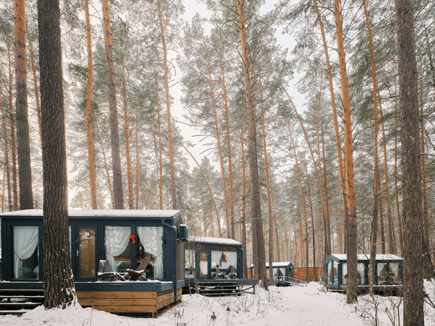МираМирам - фото 91
