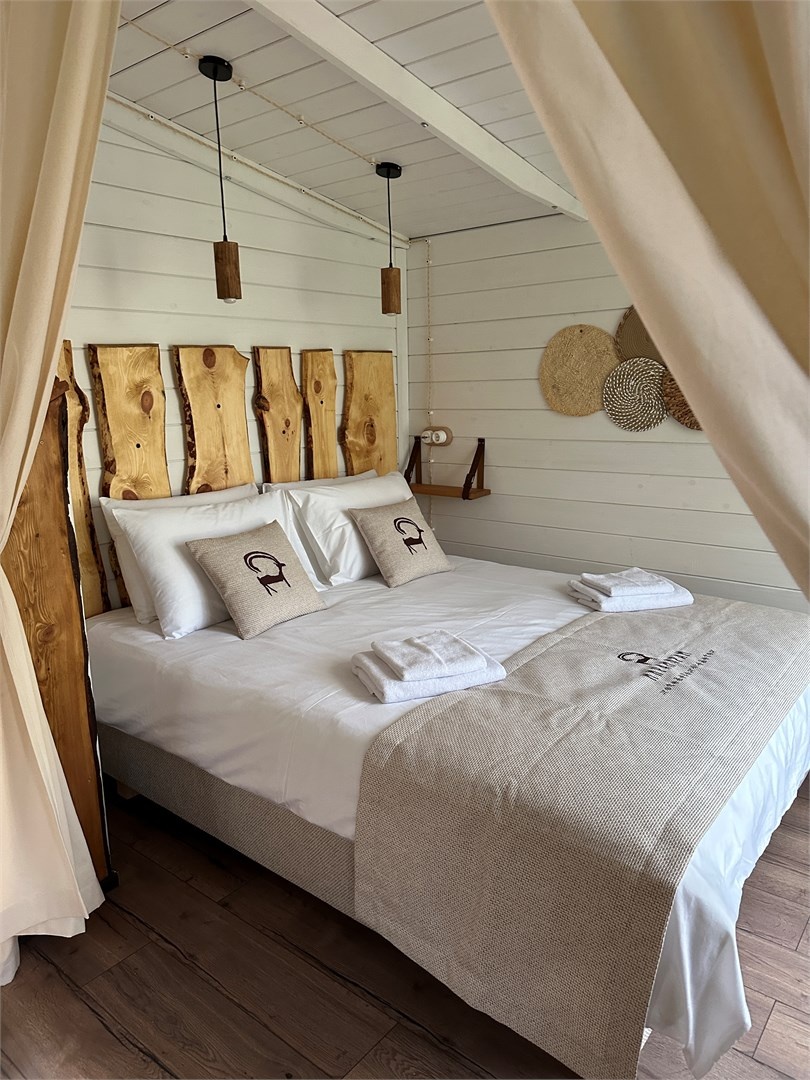 Люкс с видом на лес - фото 1