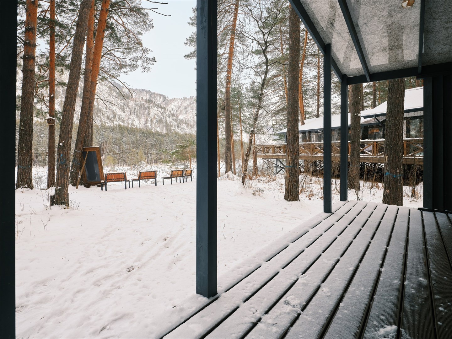 Люкс с видом на лес - фото 3