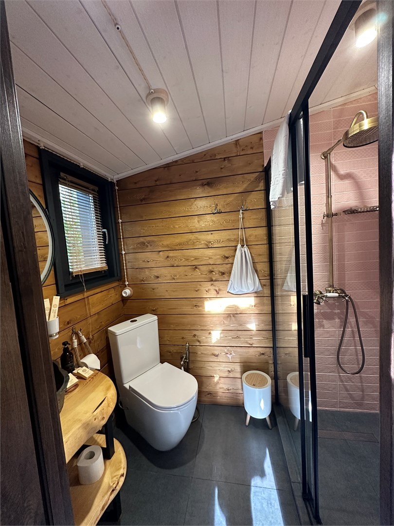 Люкс с видом на лес - фото 6