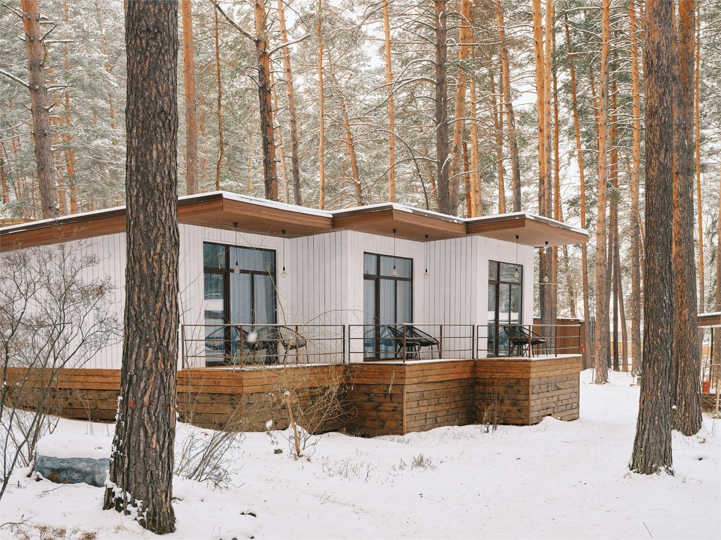 Стандарт - фото 2