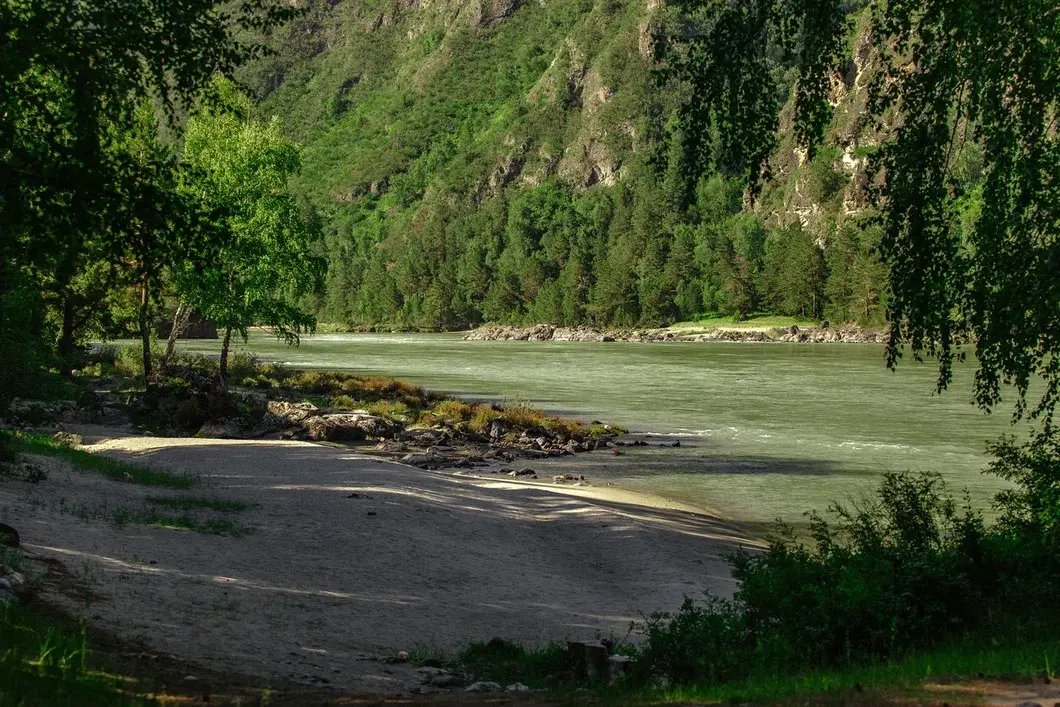 Айвенго - фото 38