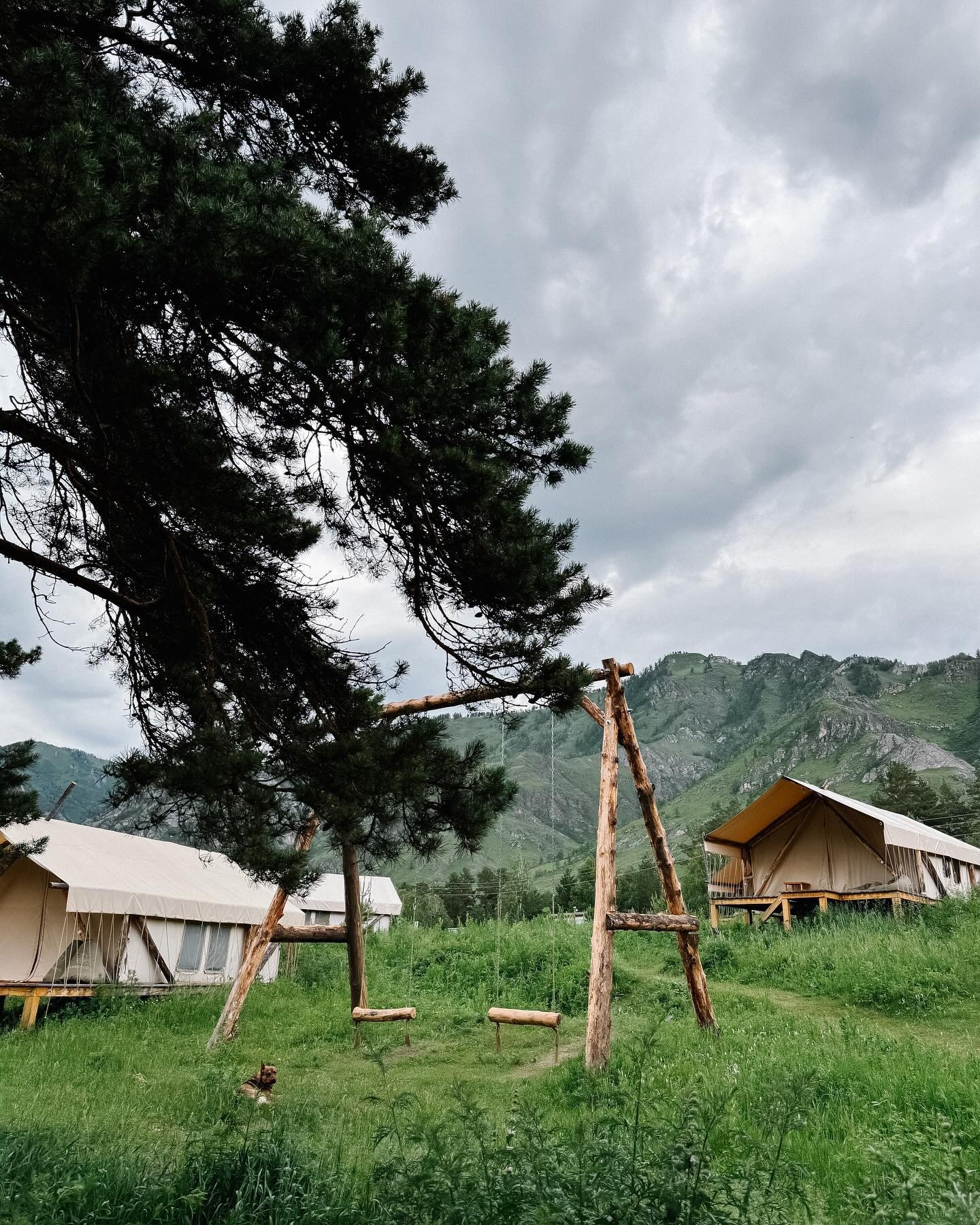 Айвенго - фото 39