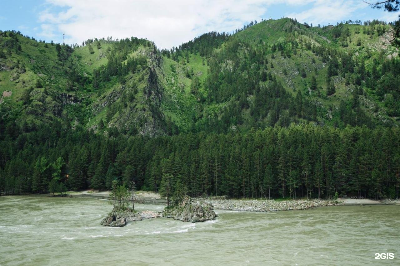 Wood park - фото 19