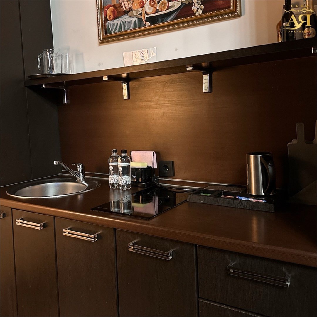 Люкс студия с видом на горы (Отель «Югославский») - фото 1