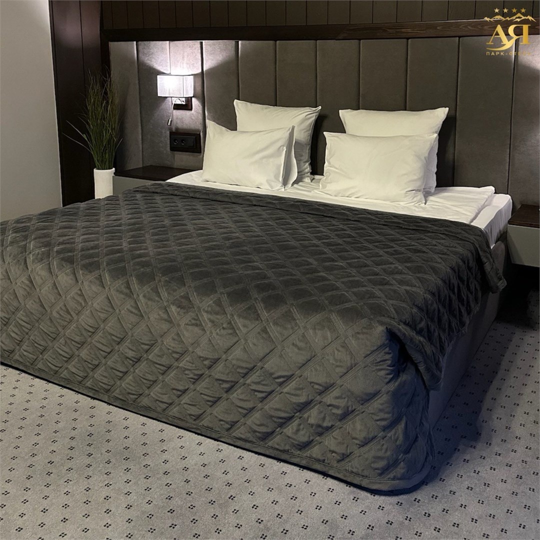 Люкс студия с видом на горы (Отель «Югославский») - фото 4