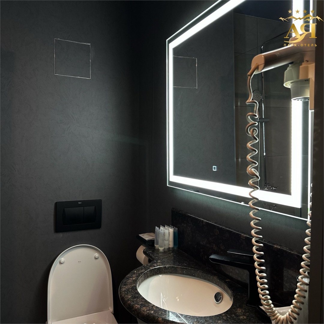 Стандарт с видом на горы Double (Отель «Югославский») - фото 4