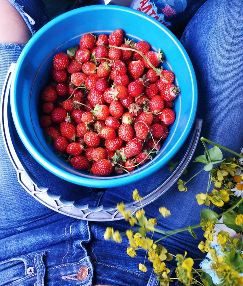 Маленькая страна - фото 16
