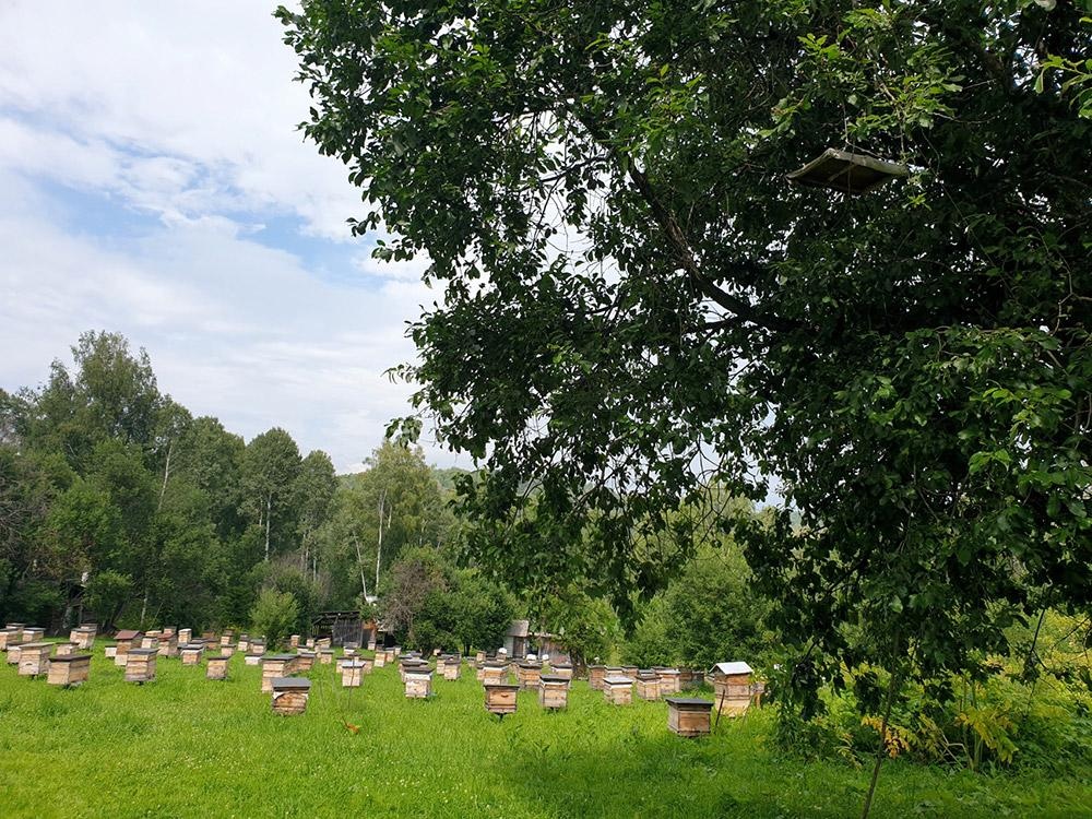 Маленькая страна - фото 19