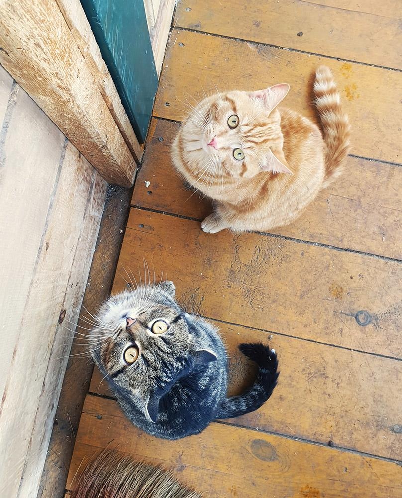 Маленькая страна - фото 30